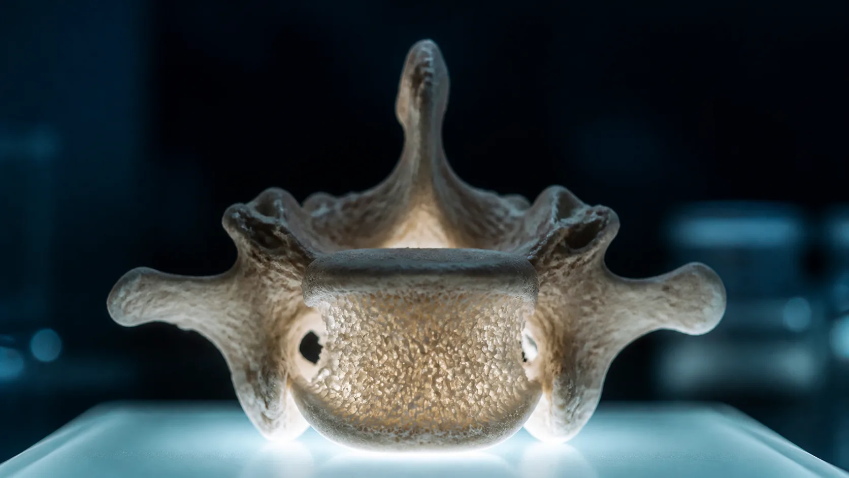 Dry vertebra specimen on a light box, its porous interior glowing through from below, dark surroundings, cold clinical macro