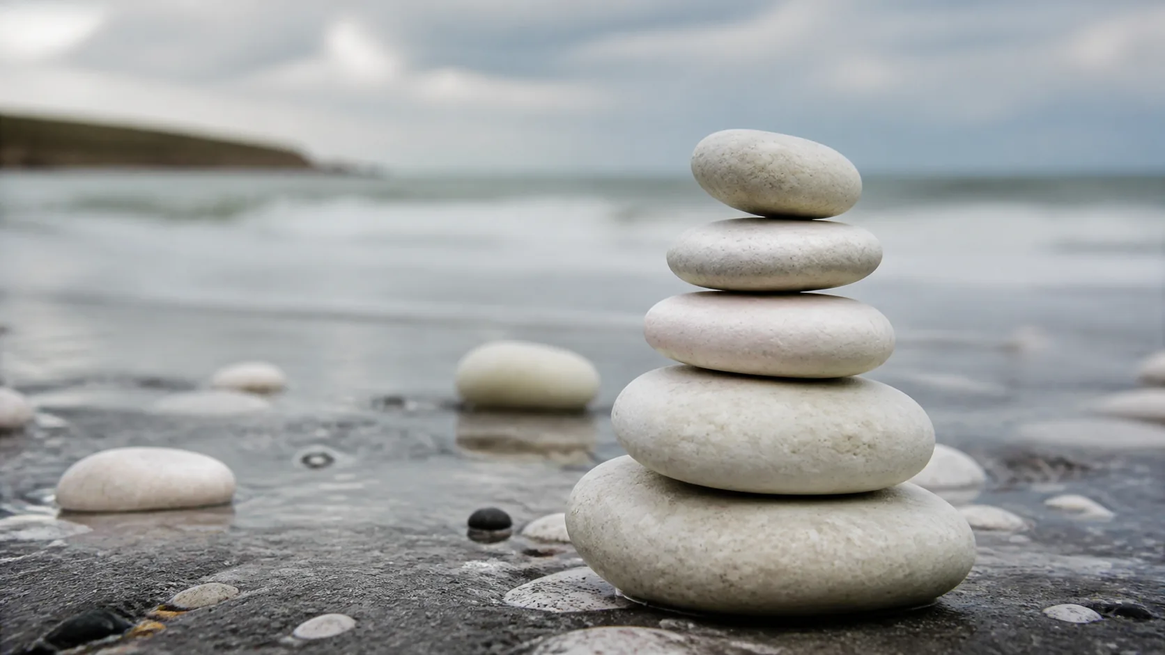 Stack of chalky white limestone pebbles on dark wet sand at the tide line, soft overcast light, matte mineral texture