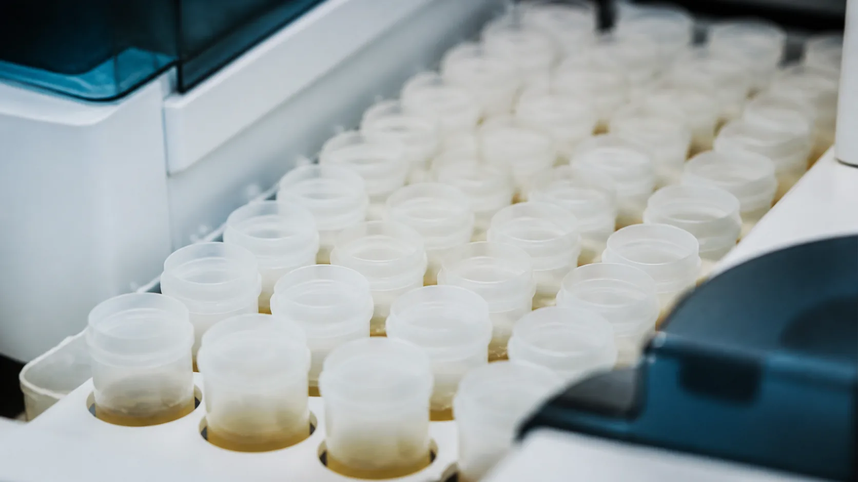 Clinical chemistry analyzer's loading rack of small sample cups photographed from above