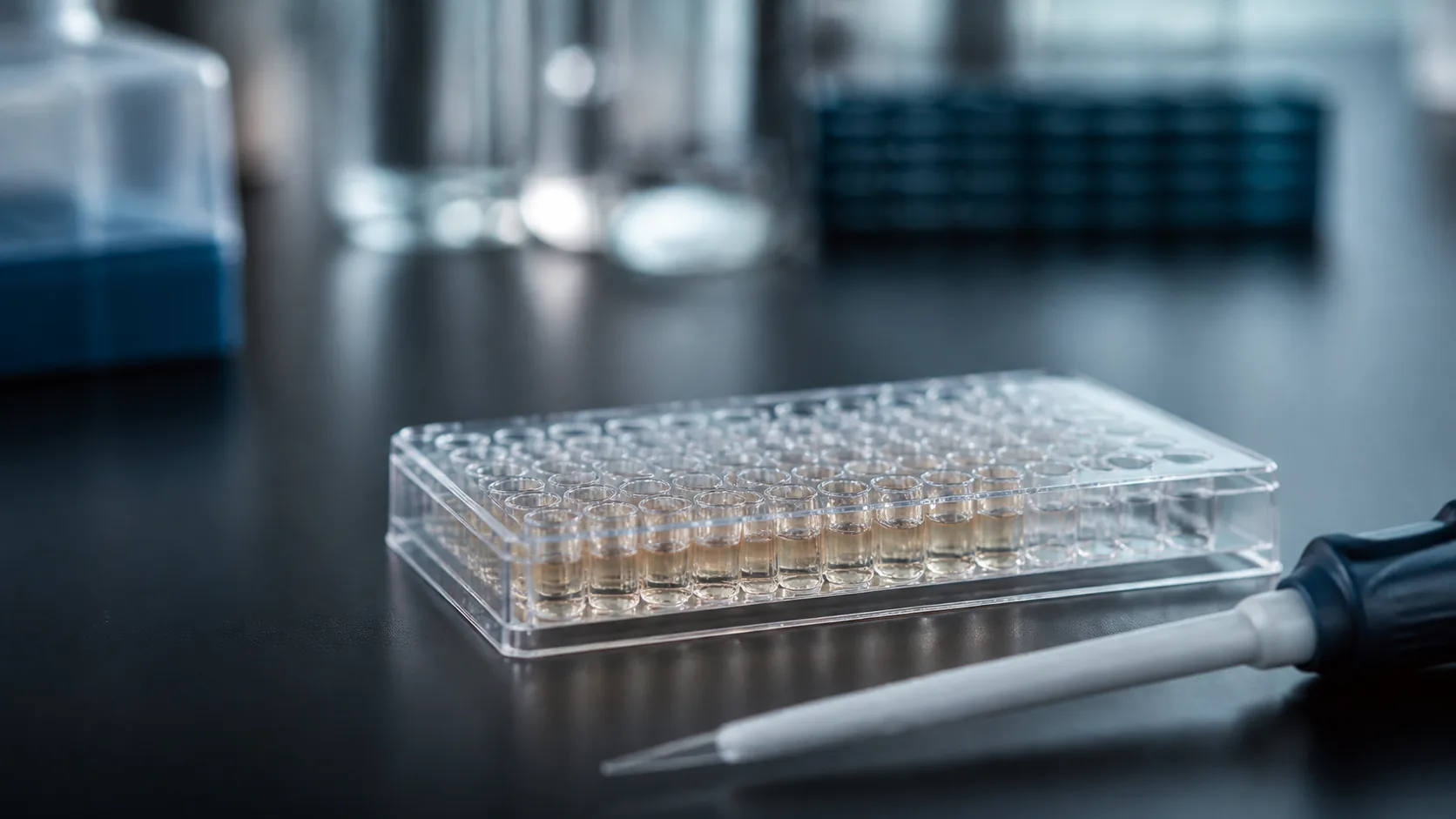 Clear microplate half filled with pale amber wells on a dark laboratory bench, a pipette lying beside it