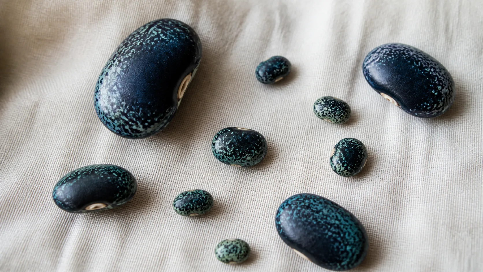 Handful of dried beans of markedly uneven size spread on a pale linen cloth, top-down macro, soft window light